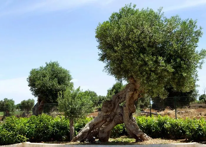 Per Vacanze Torre Incina Polignano a Mare
